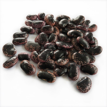 Wholesale big dark black market price kidney bean